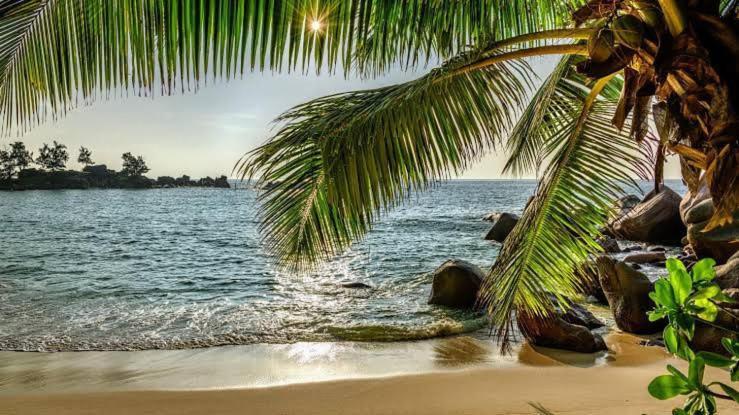 Baga Beach Prime Exterior foto